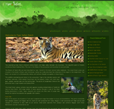 Tiger Safari Pench